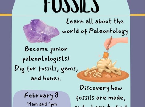 Little Explorers: Fossils
