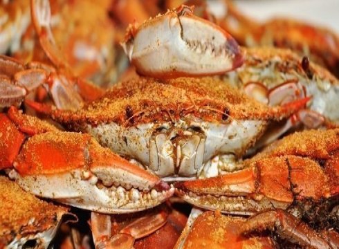 Heart of Salisbury Food Tour