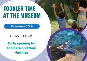 Toddler Time at the Museum