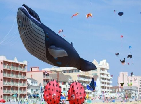 Maryland International Kite Festival