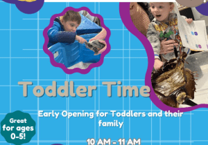 Toddler Hour at the Museum