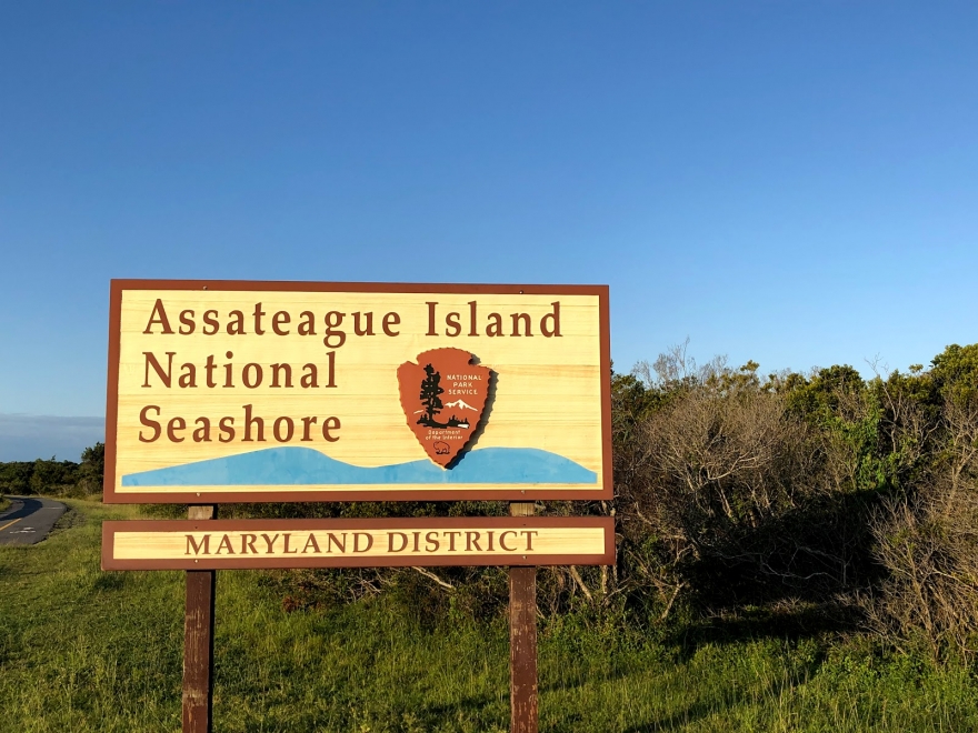 Assateague Island National Seashore