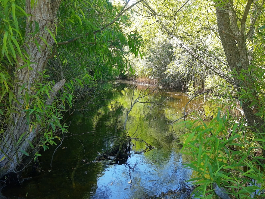 Herring Creek Nature Park