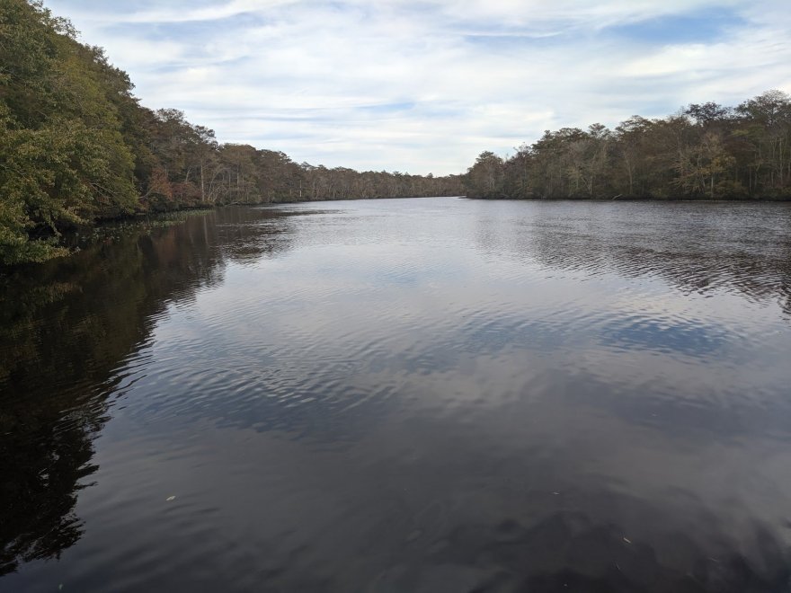 Pocomoke River State Park: Shad Landing