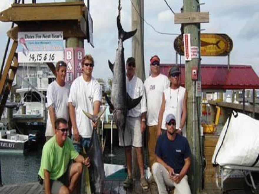 Bahia Marina Inc