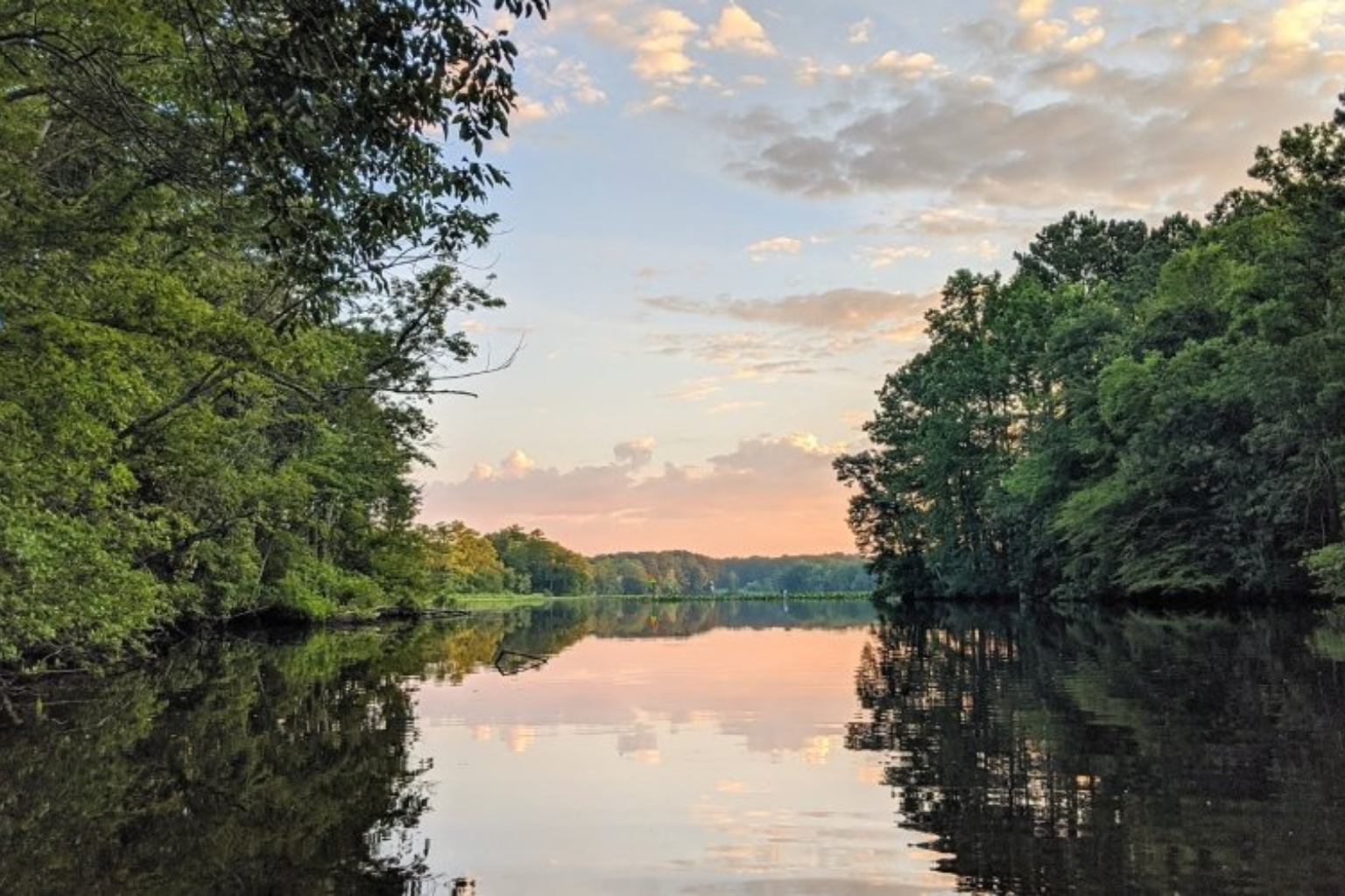 Pocomoke State Park