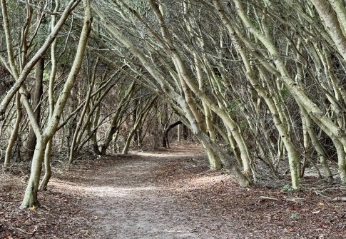 Family-Friendly Trails in Worcester County, Maryland